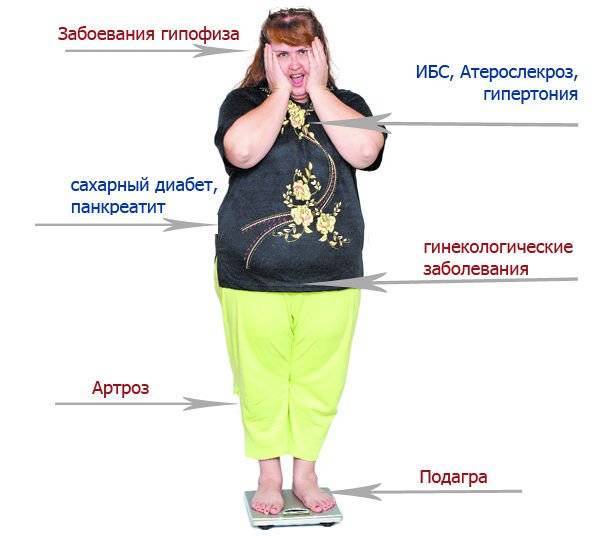 Настоящие причины лишнего веса