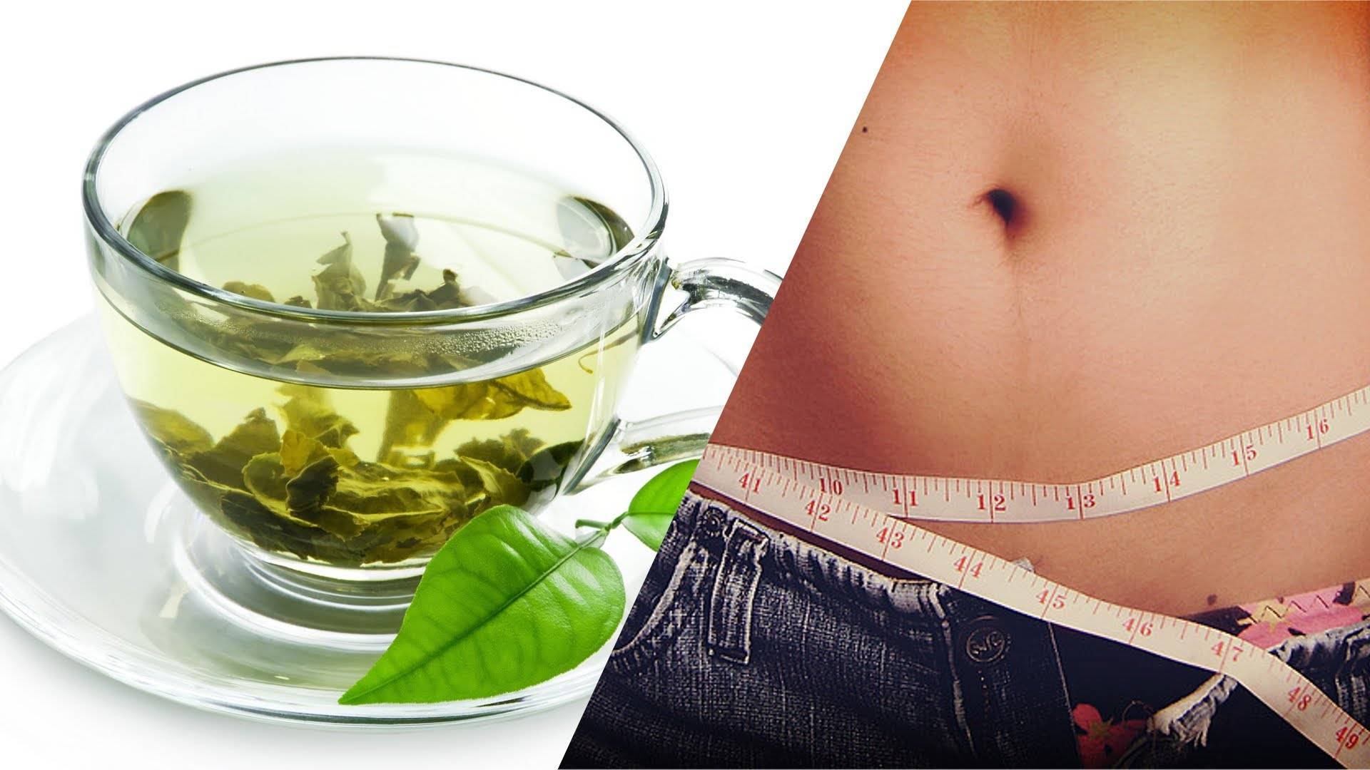Диета на зеленом чае — похудение, калории, отзывы