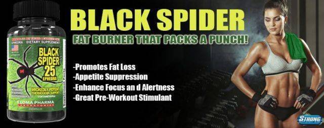 Black spider 25 ephedra: отзывы и рекомендации, назначение, форма выпуска, особенности приема, дозировка, состав, показания и противопоказания