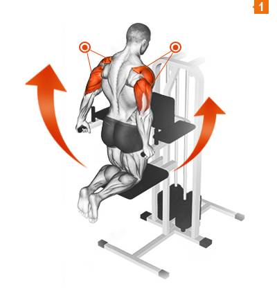 Подтягивания в гравитроне. техника и основные преимущества упражнения для мышц спины