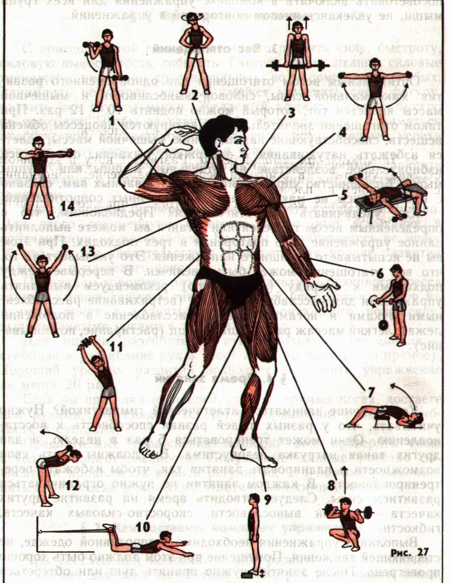Для настоящих мужчин: программа эффективных упражнений с эспандером