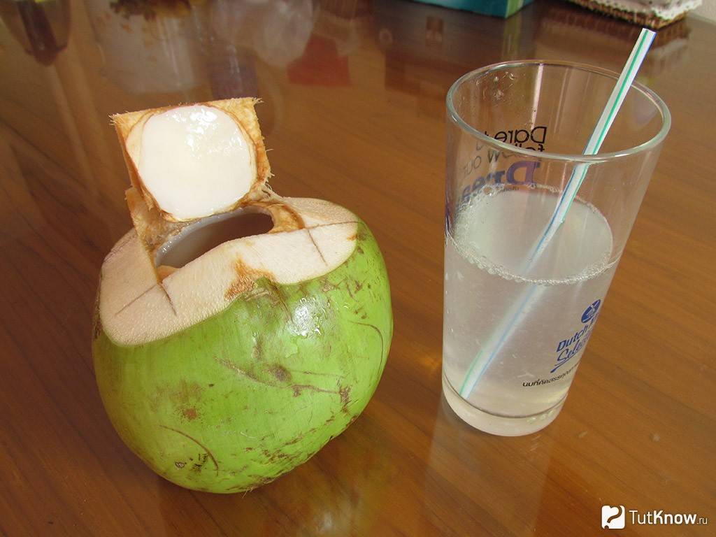 Польза и вред кокосового сахара для организма | польза и вред