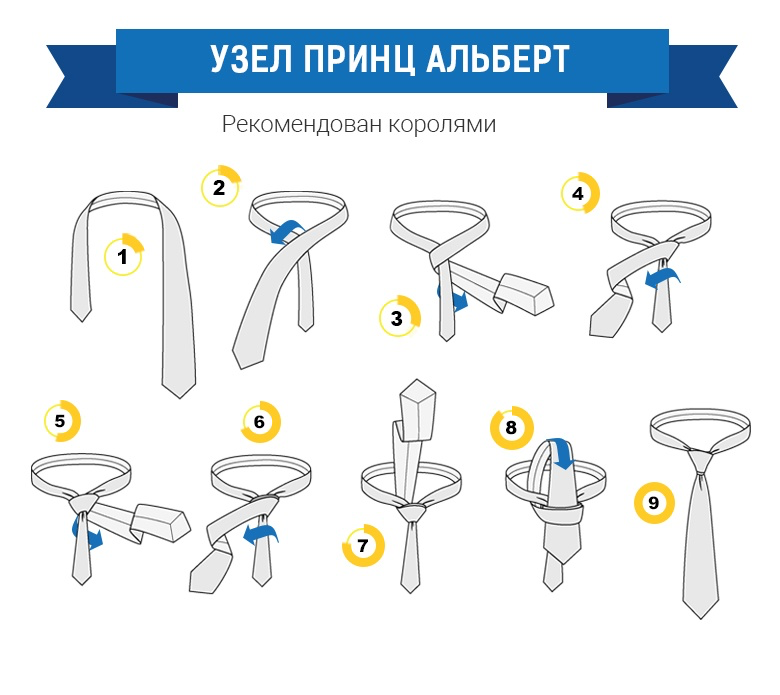 Как можно завязать галстук? схемы и пошаговая инструкция