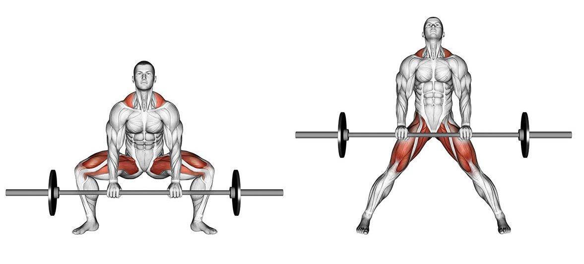 Становая тяга: техника выполнения со штангой для мужчин, какие мышцы работают, виды тяг