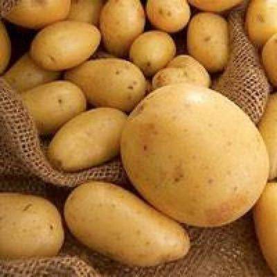Мифы о картофеле, или какая картошка опасна для здоровья?