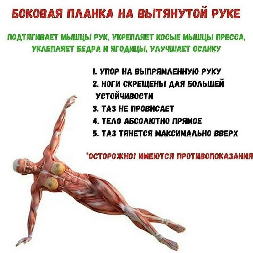 Упражнение планка: какие мышцы работают при выполнении