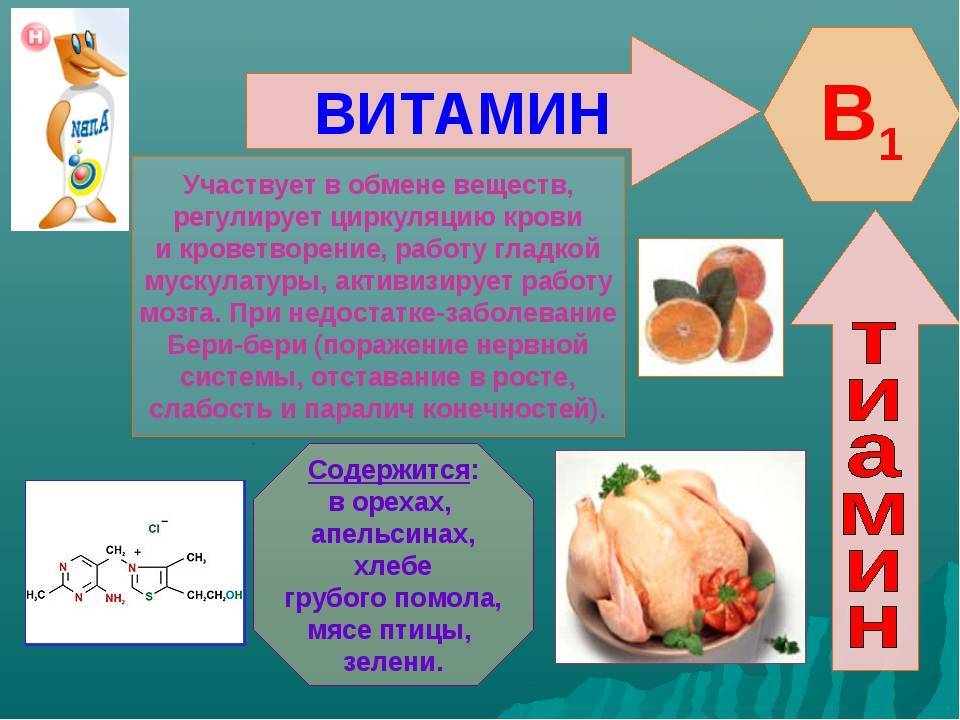 Тиамин (витамин в1): в каких продуктах содержится, суточная норма
