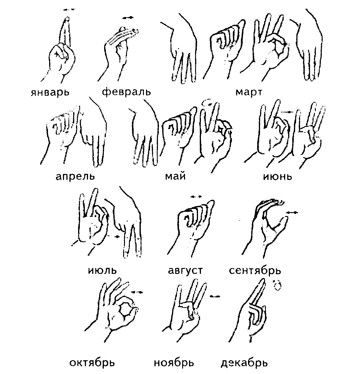 Язык тела: невербальные знаки и жесты женщин