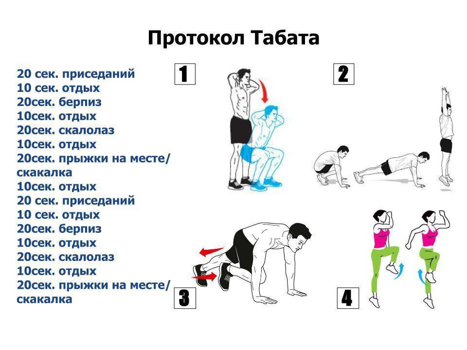 Табата жиросжигающая тренировка: комплекс упражнений | бомба тело