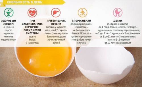 Сколько калорий в яйце вареном 1 шт - сколько можно есть при диете