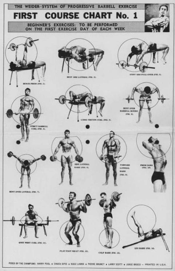 Программа тренировок джо вейдера: комплекс упражнений и тренировочные принципы