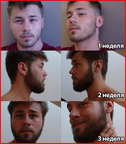 Как отрастить бороду, если она не растет