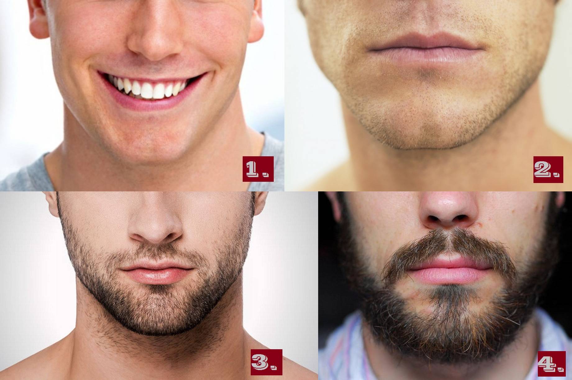 Во сколько лет начинает расти борода?