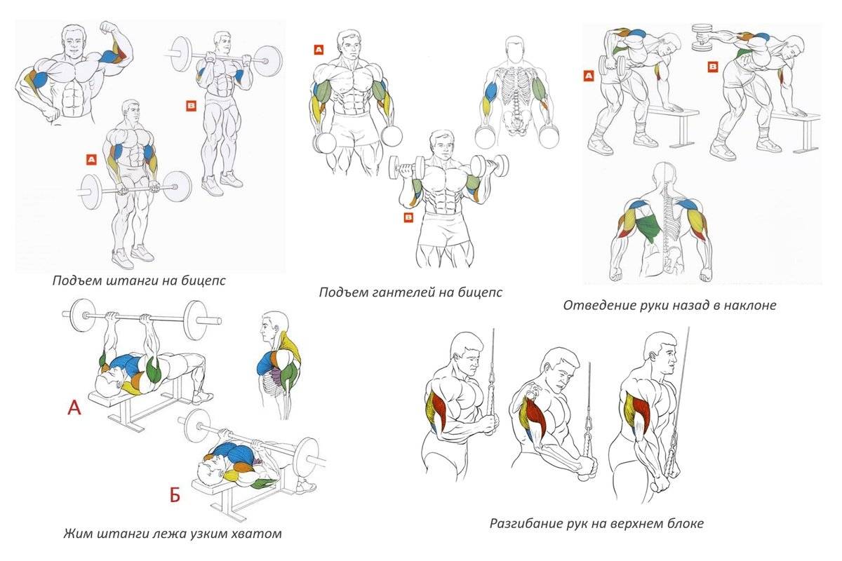 Как накачать мощные ноги: 6 тренировочных схем.