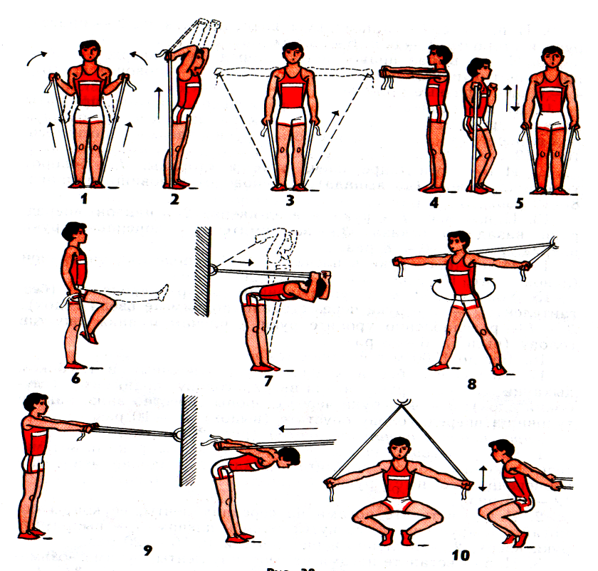 30 упражнений с гантелями на все группы мышц для эффективной тренировки