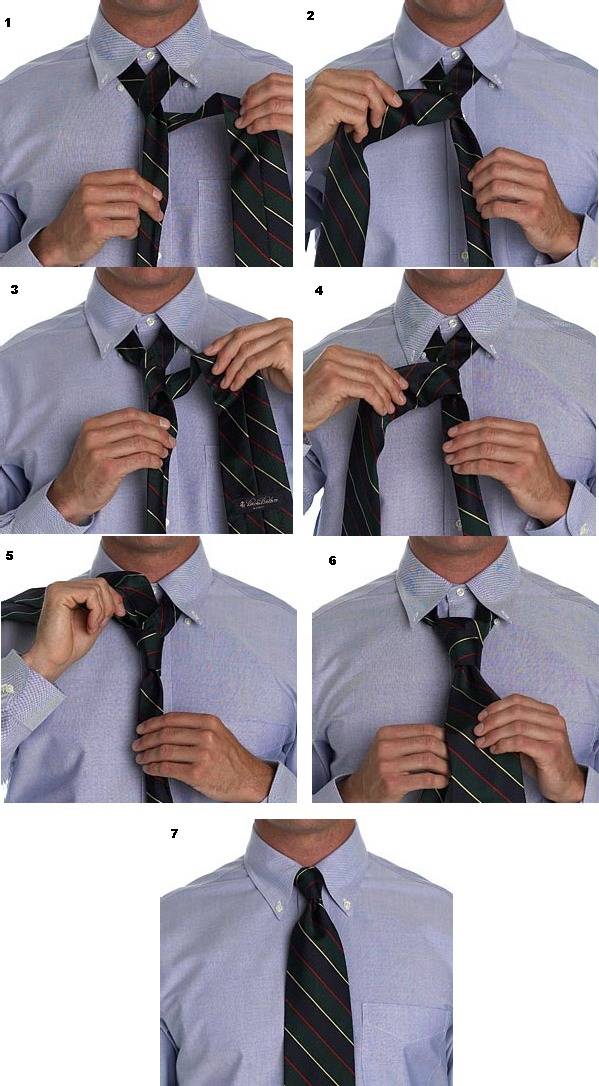 Как правильно завязать галстук пошаговые фото и видеоинструкции