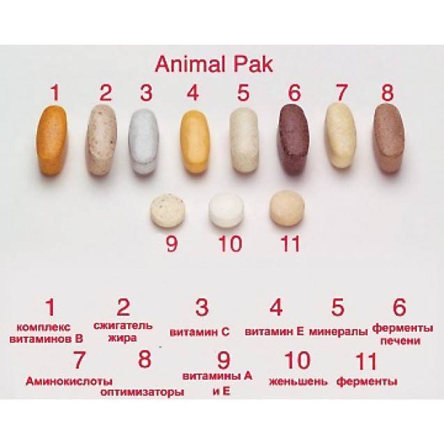 Обзор витаминов animal pak | prokachkov.ru