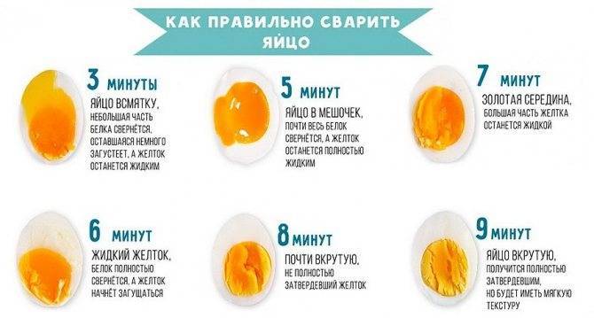 Сколько калорий в яйце вареном 1 шт - сколько можно есть при диете