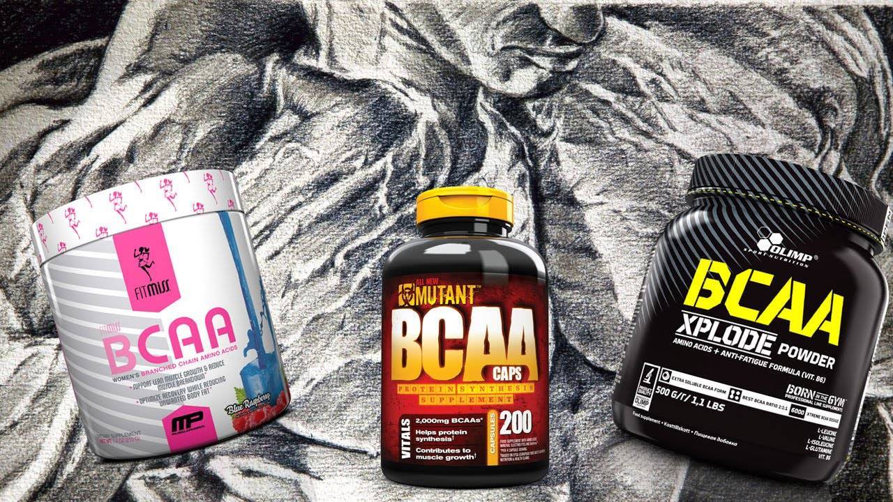 Что лучше bcaa или протеин, что принимать до и после тренировки в зале?