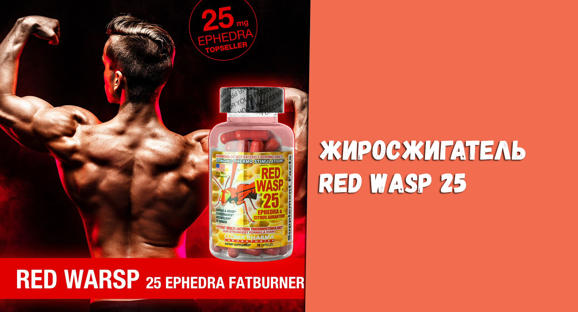 Red wasp 25 — как принимать жиросжигатель отзывы