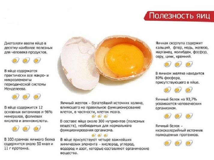 Egg guru — первый про яйца. вред или польза от яиц, приготовленных всмятку