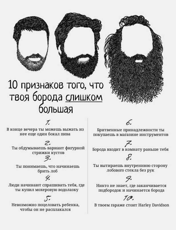 Должен ли христианин носить бороду? почему? все что нужно знать о бороде или ода брадости