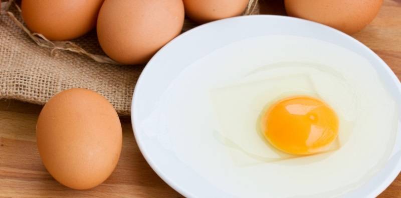 Куриные яйца полезны или вредны?