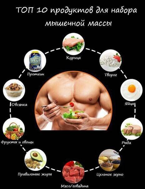 Обзор лучшего спортивного питания для набора мышечной массы