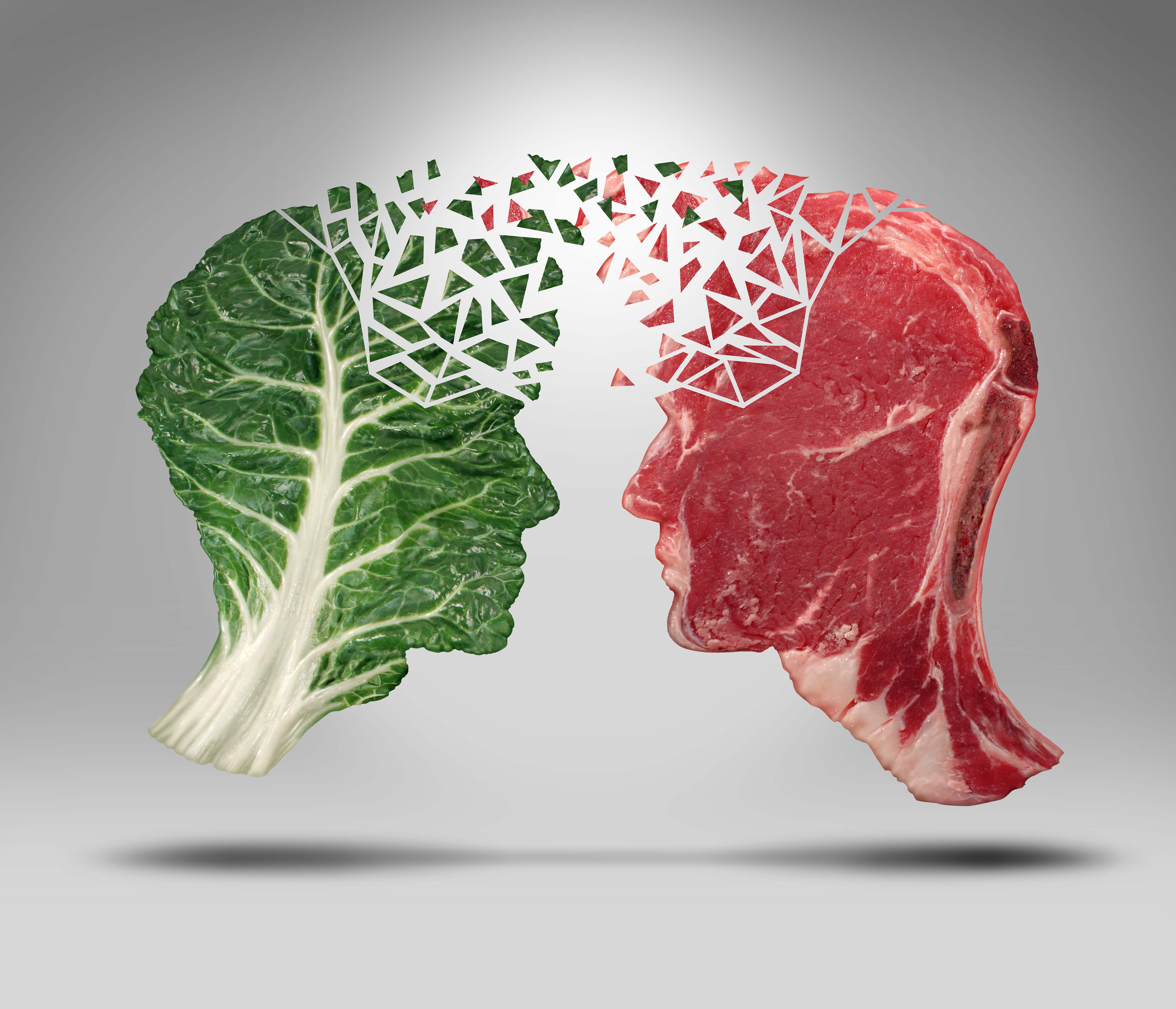 Мифы о вегетарианстве