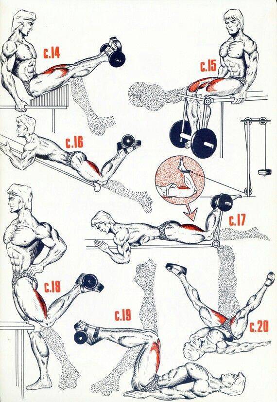 Топ-10 упражнений для спины в домашних условиях для мужчин