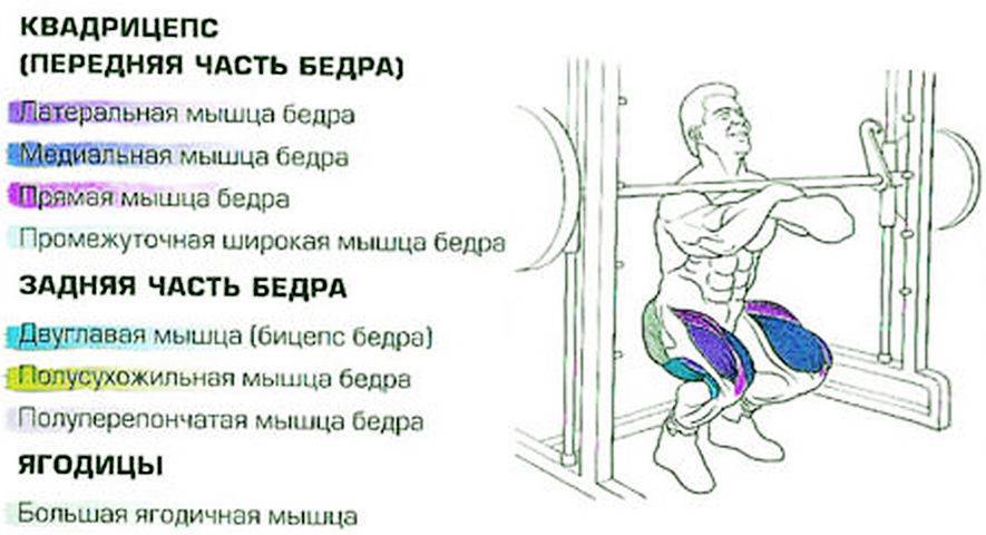 Правильная техника приседаний: какие мышцы работают