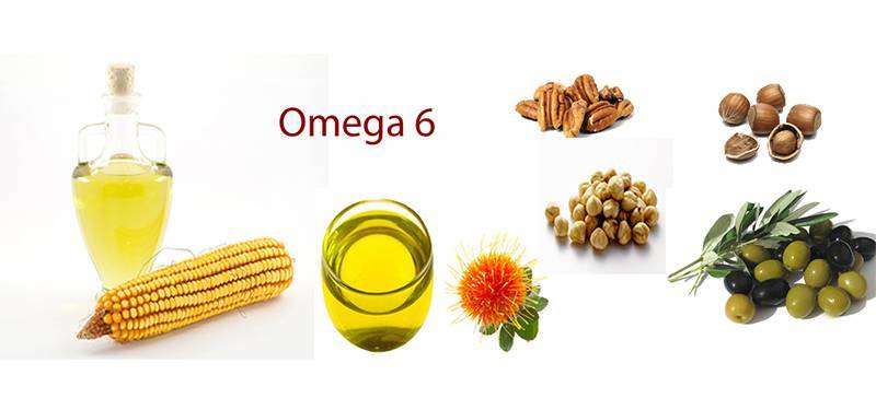 Омега 3, 6, 9, для чего полезно? в каких продуктах содержится? полиненасыщенные жирные кислоты | рецепты здоровья