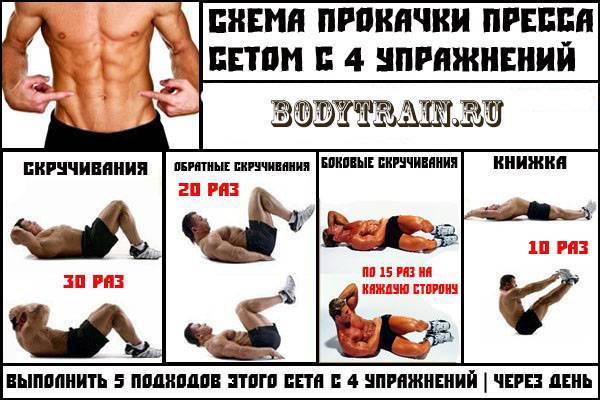 Как накачать рельефные мышцы за 1 месяц: отличный план тренировок для получения рельефного тела за 30 дней