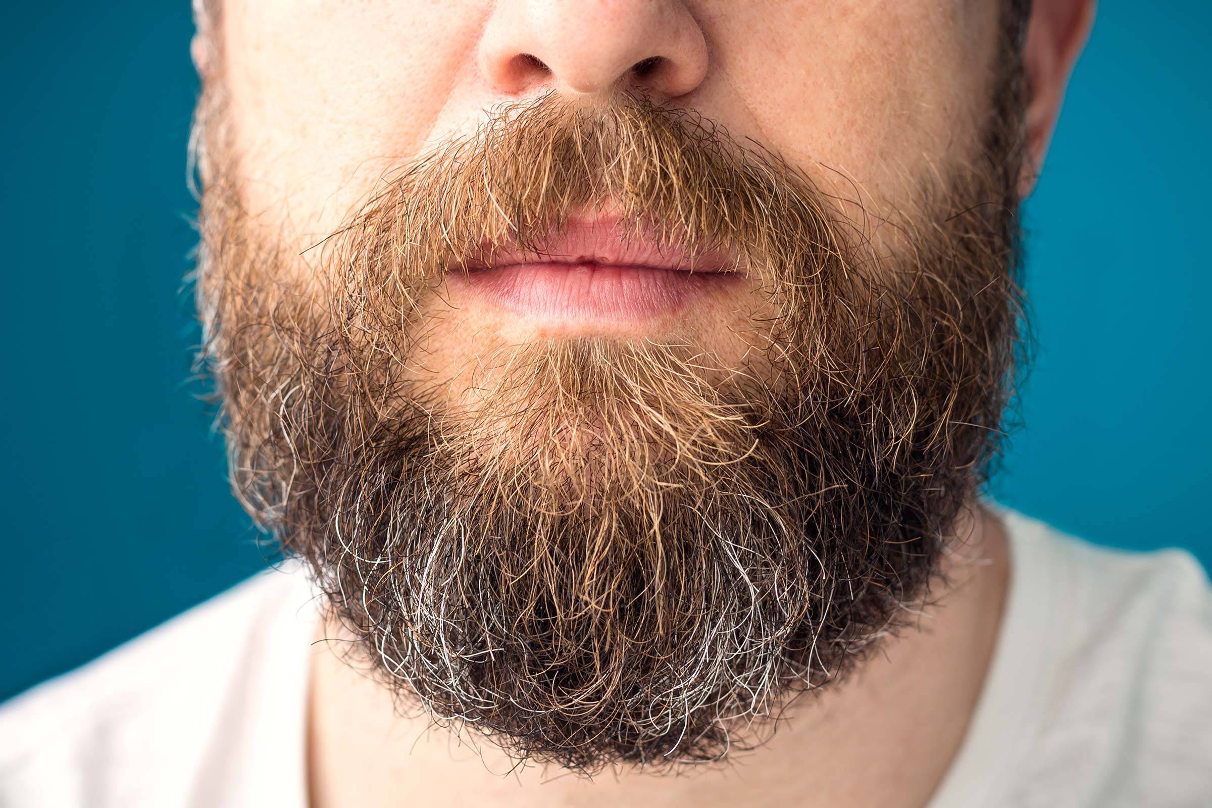 Полезно ли носить бороду. все что нужно знать о бороде или ода брадости