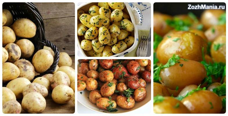 Вареный картофель при похудении: можно ли его есть на диете