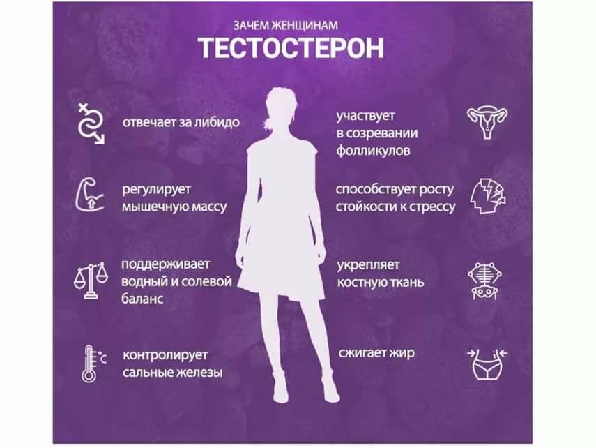 Тестостерон и эстроген: выполняемые функции, норма, нарушение гормонального фона, лечение и консультация эндокринолога
