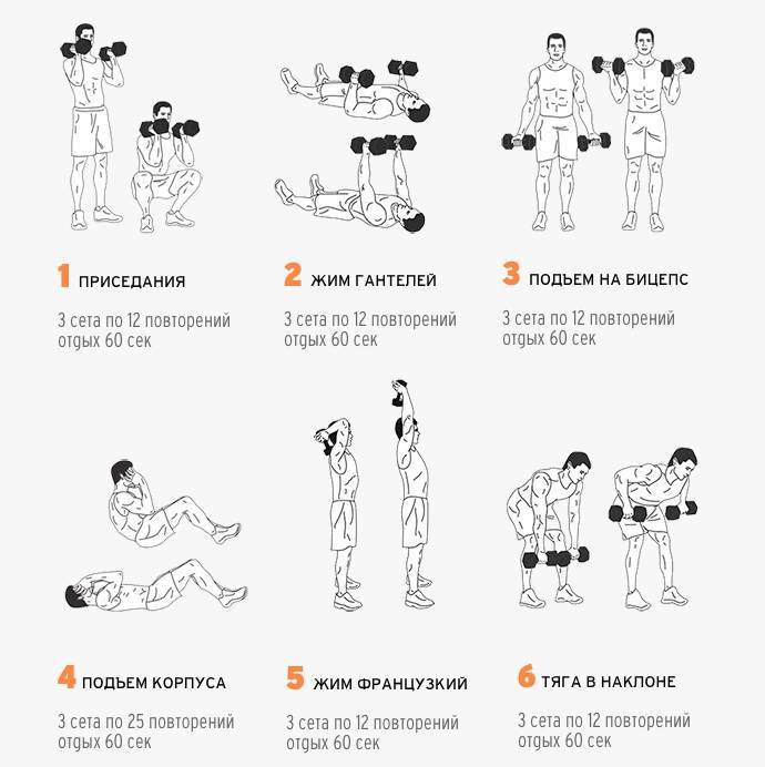 Упражнения на плечи в тренажерном зале для мужчин
