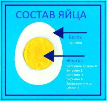 Сколько калорий в яйце - инструкция, применение, отзывы