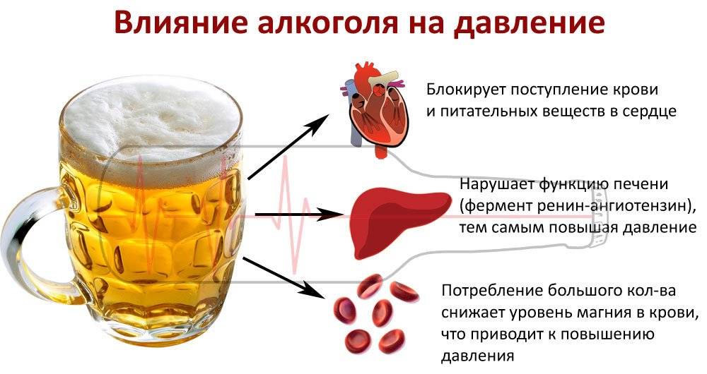 Протеин и алкоголь: как алкоголь влияет на мышцы?