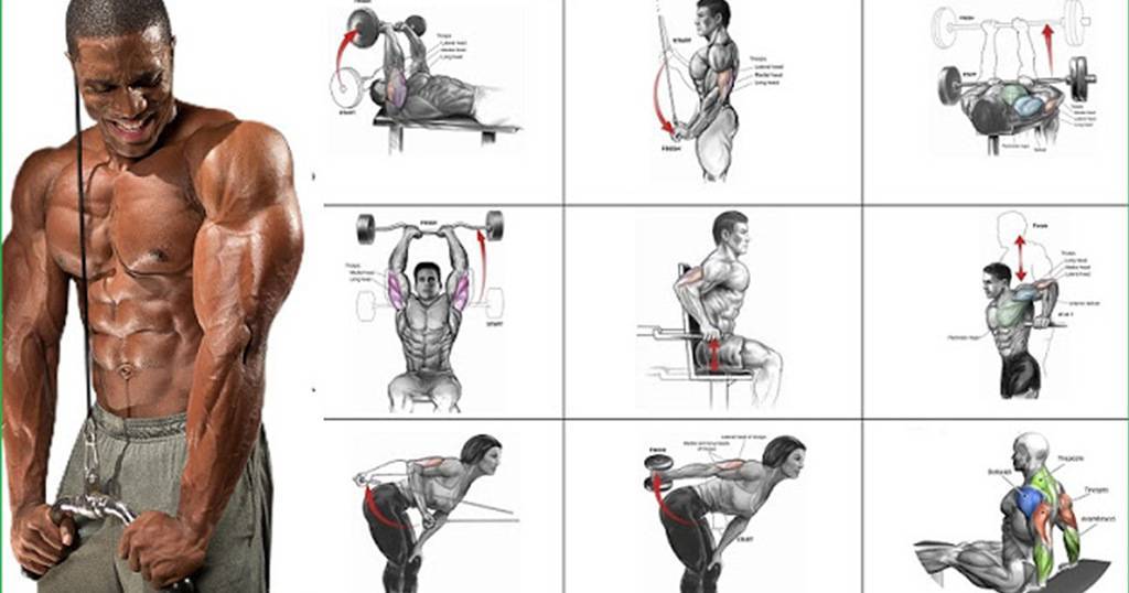 10 лучших упражнений на трицепс: фото и видео | бомба тело