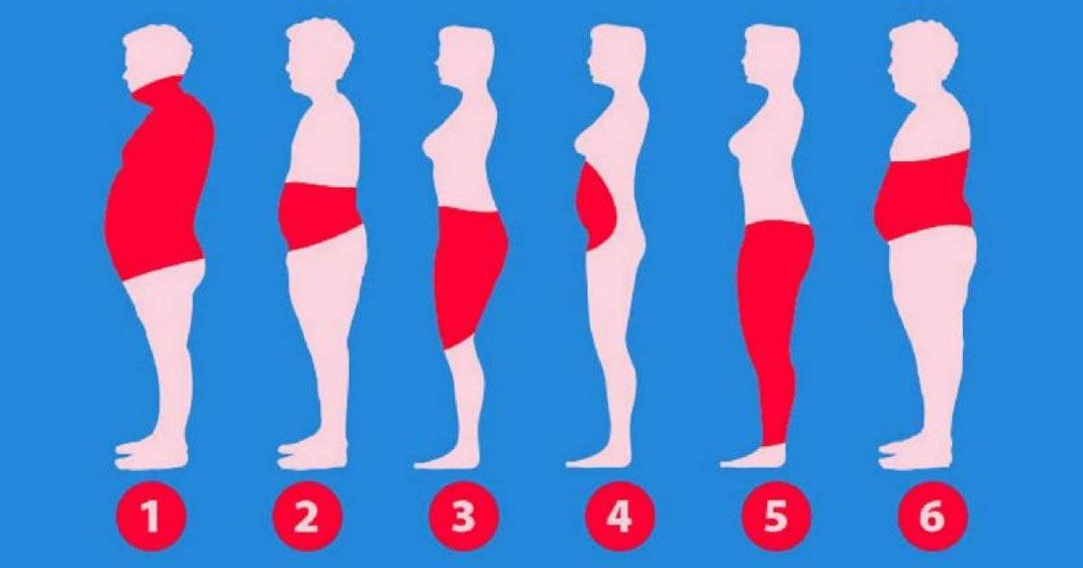 Почему скапливается абдоминальный жир на животе и боках