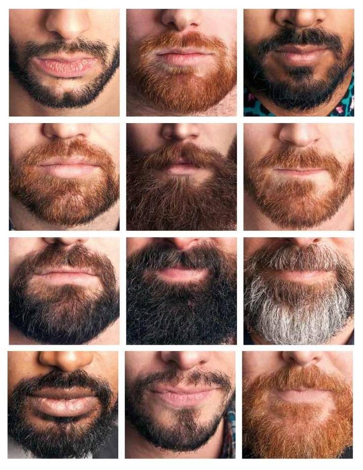 Правила и тонкости ухода за бородой