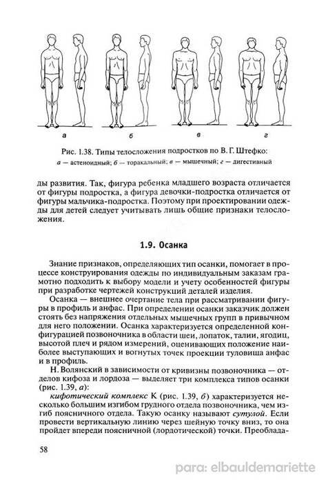 Определение типа телосложения мужчин (эктоморф, мезоморф или эндоморф)