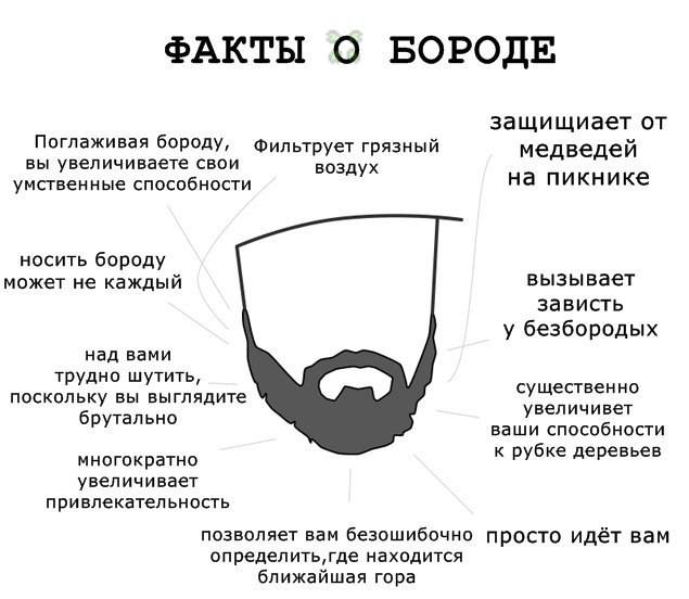 Все что нужно знать о бороде или ода брадости. как выглядит окладистая борода