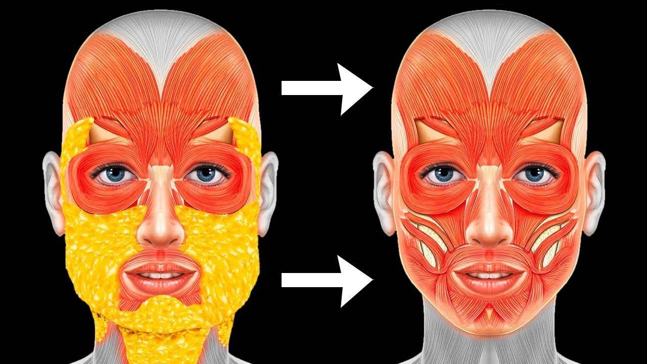 Как похудеть в лице и в щеках: план, который работает