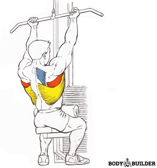Упражнения на тягу вертикального блока за голову, а также советы по их правильному выполнению