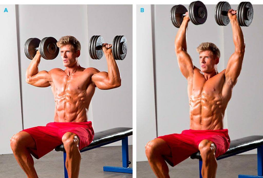 Лучшие упражнения на плечи в тренажерном зале для мужчин на массу: видео и фото