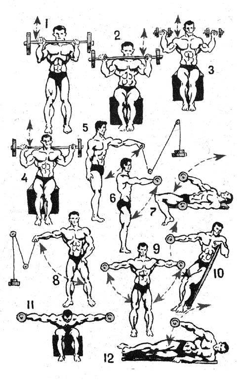 Гимнастические упражнения: обзор самых простых и базовых упражнений для новичков (110 фото)