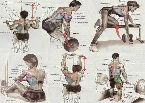 Тренировка спины