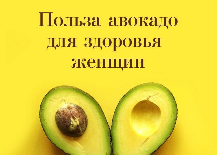 Полезные свойства авокадо для организма и как его употреблять: польза и вред, калорийность